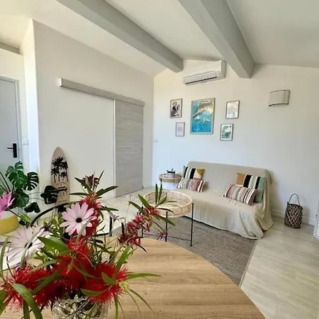 Nid Douillet Vue Les Palmiers Hyères
