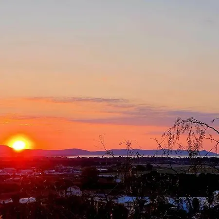 Lägenhet Nid Douillet Vue Les Palmiers Hyères