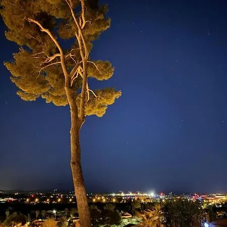 Nid Douillet Vue Les Palmiers Hyères
